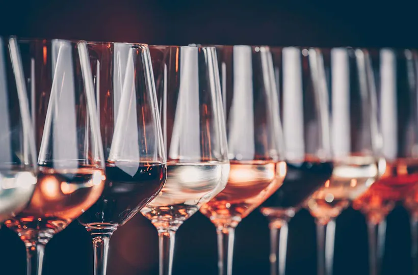 Weinseminar Rotkäppchen Erlebniswelt Freyburg