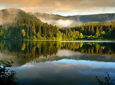Nationalpark Harz